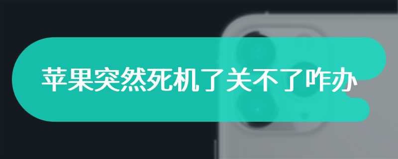 苹果突然死机了关不了咋办