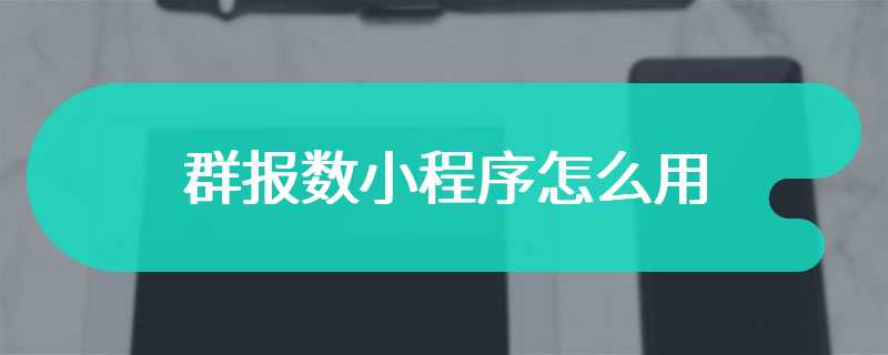 群报数小程序怎么用