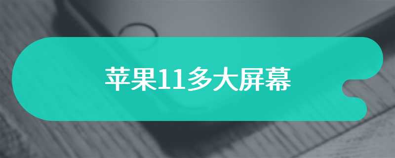 苹果11多大屏幕