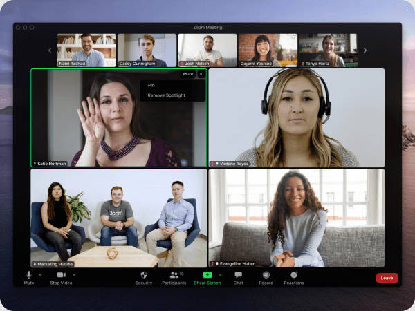 Zoom Cloud Meetings(1)