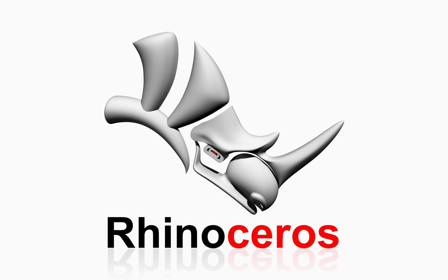 Rhinoceros