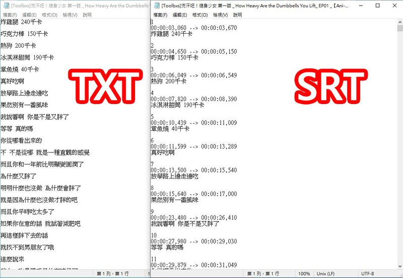 TXT与SRT差异