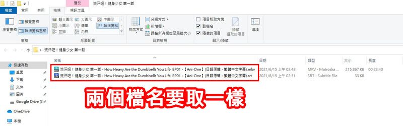 影片档及字幕档档名要一样