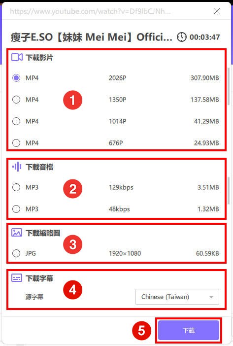 选择下载格式