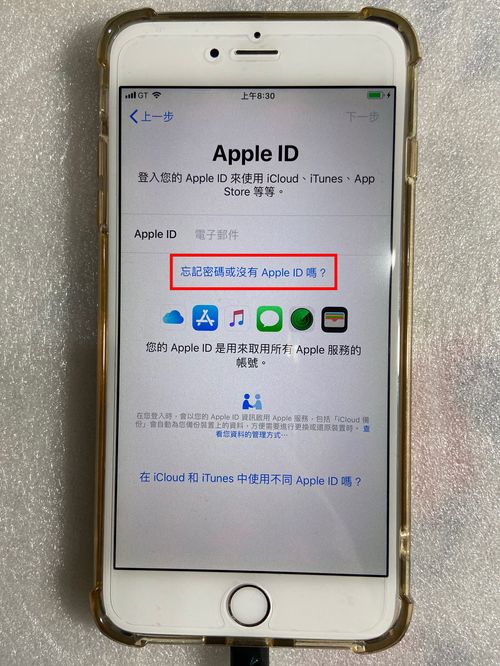 忘记密码或没有Apple ID