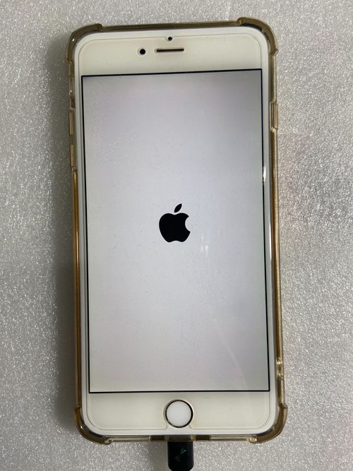 iPhone开始重置