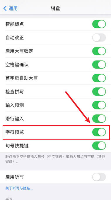 iPhone键盘如何开启字符预览功能(2)