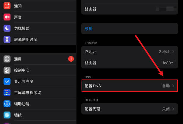 如何设置iPad让网速加快10倍？(2)
