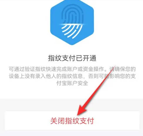 点淘指纹支付怎么关闭(4)