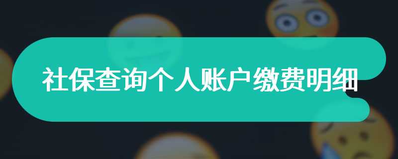 社保查询个人账户缴费明细