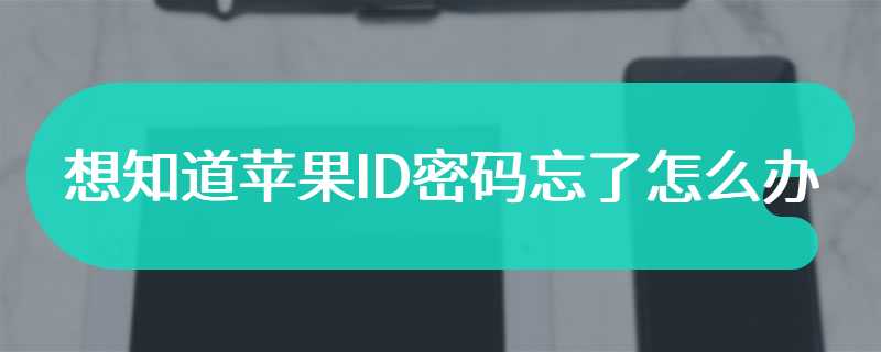 想知道苹果ID密码忘了怎么办