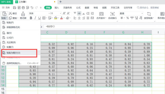 wps粘贴为图片功能在哪里(1)