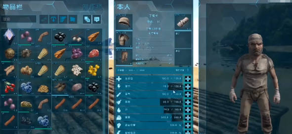 《方舟生存进化》手游怎么换第三人称第三人称更换方法(2)
