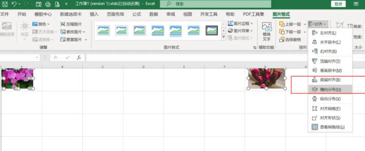 EXCEL表格图片如何均匀水平排列(2)