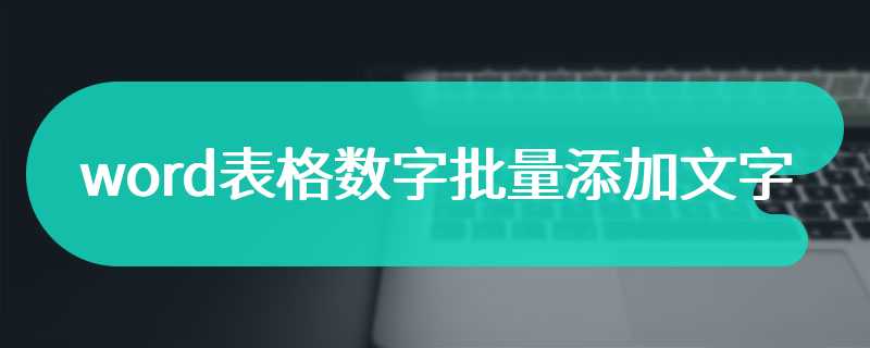 word表格数字批量添加文字