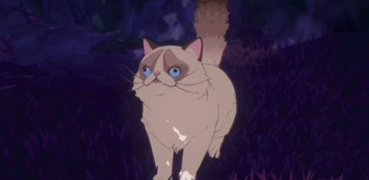 《二之国交错世界》怎么找猫 猫咪坐骑入手方法详解(1)