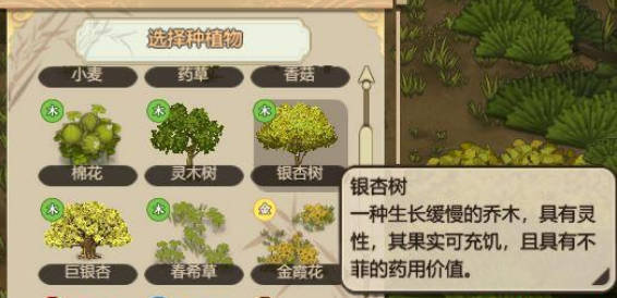 《了不起的修仙模拟器》药草怎么获得 药草收集攻略(2)