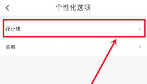花小猪如何出行车型推荐(4)