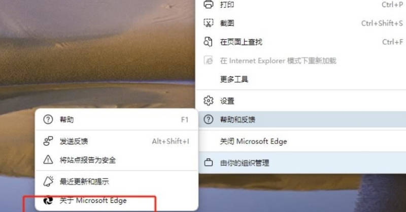 Edge浏览器怎么查看版本号？(2)