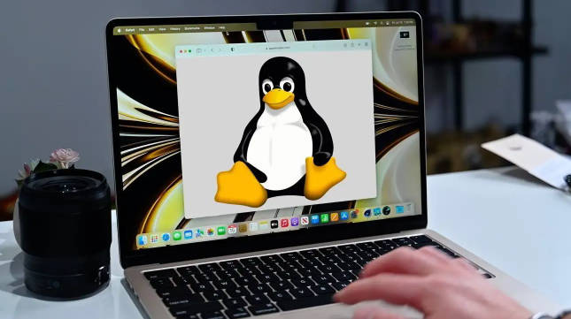 Asahi 接棒苹果,新驱动让 M1 Mac 支持 OpenGL 4.6 标准