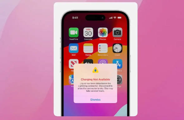 会损坏 iPhone，苹果不推荐手机进水后放入米袋