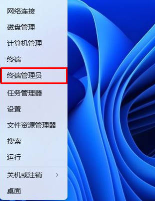 Win11网卡mac地址怎么查?