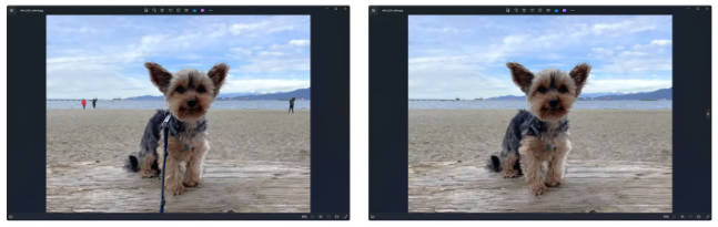 Windows 照片应用支持“生成式擦除”功能，消除照片中的干扰