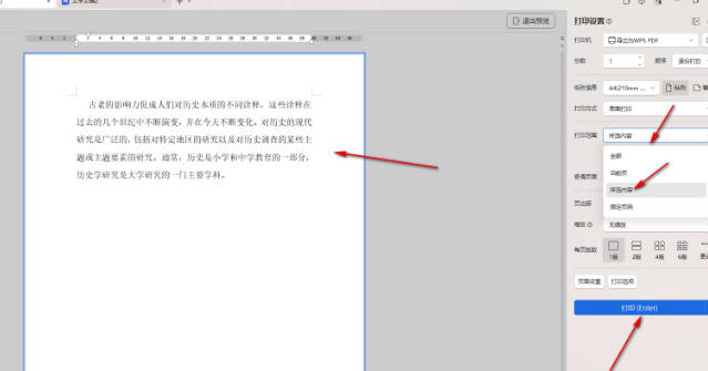 WPS如何设置打印所选文字内容(4)