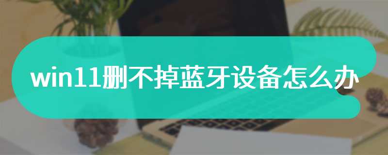 win11删不掉蓝牙设备怎么办