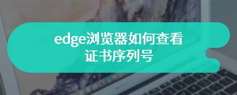 edge浏览器如何查看证书序列号