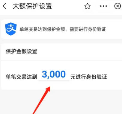 支付宝如何交易保护金额(4)