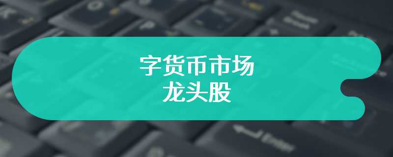 揭秘数字货币市场的龙头股