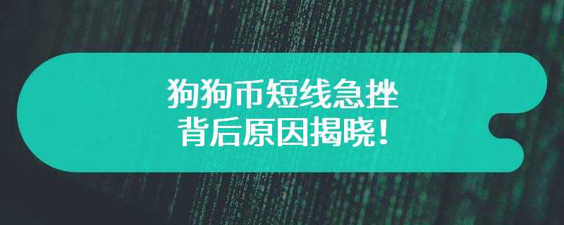 狗狗币短线急挫，背后原因揭晓！