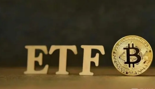 已经上市的数字货币现货ETF有哪些(1)