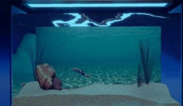 壮士水族箱上架steam  沙盒放置支持中文