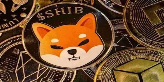 深入分析shib币的未来发展前景
