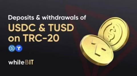 trc20usdt钱包的使用与管理指南