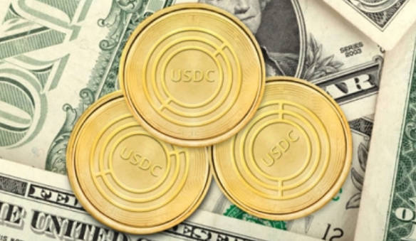 usdc币是什么币的介绍和使用场景
