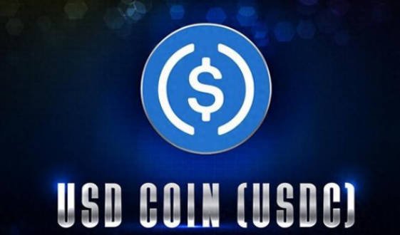 usdc币是什么币的介绍和使用场景(1)