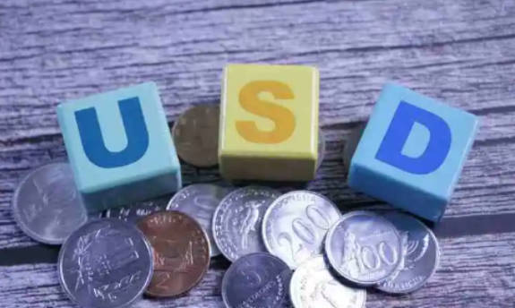 usd是什么货币及usd的特点和作用(2)