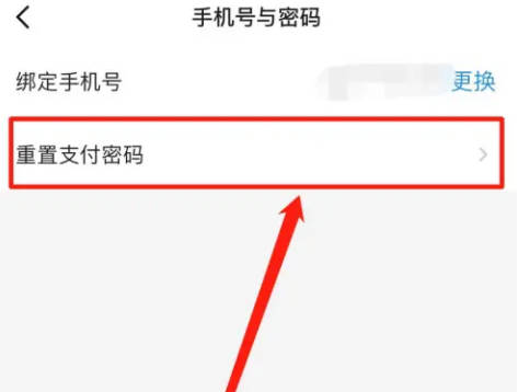 番茄畅听如何改支付密码(3)