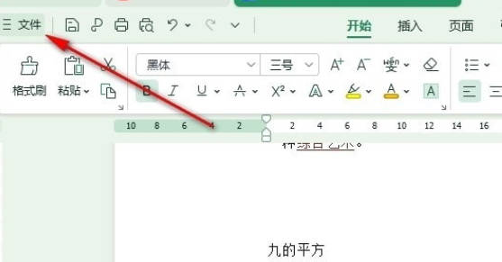 WPS如何开启拖放式文字编辑功能(1)