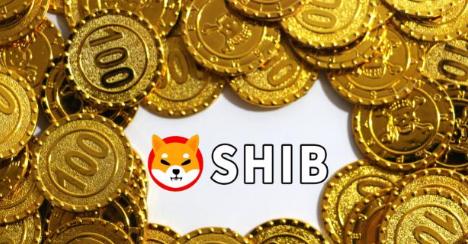 预测shib币的价格未来还能涨多少