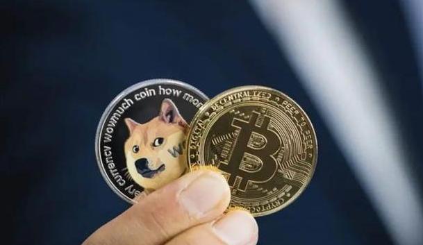 狗狗币矿机每天能够获得的收益