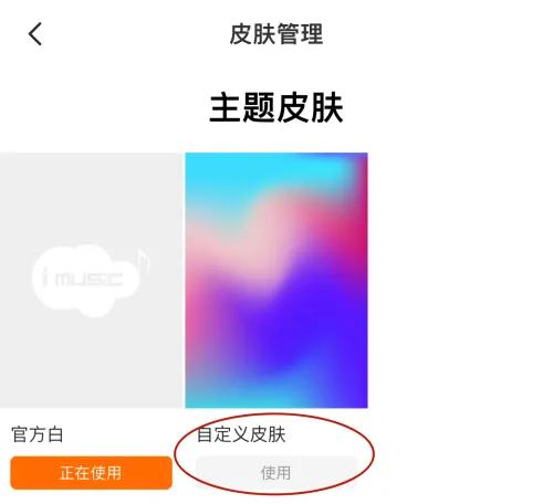 爱音乐自定义皮肤的方法步骤(2)