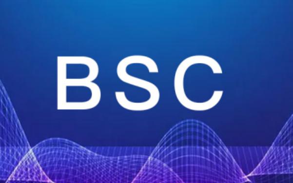 币圈bsc是什么意思呢  BSC究竟是什么？
