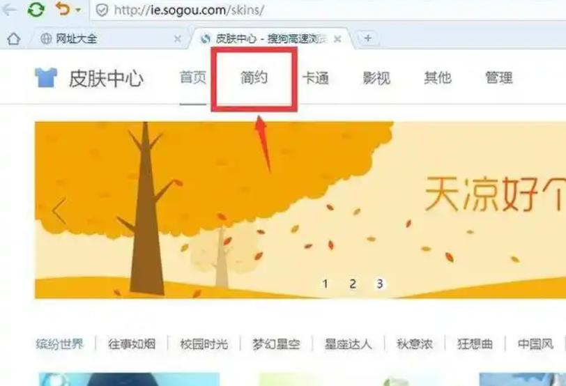 搜狗高速浏览器皮肤如何自定义？个性化你的浏览体验！