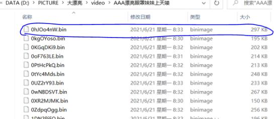 手机BIN格式视频转MP4的绝佳解决方案:轻松转换指引与技巧分享(1)