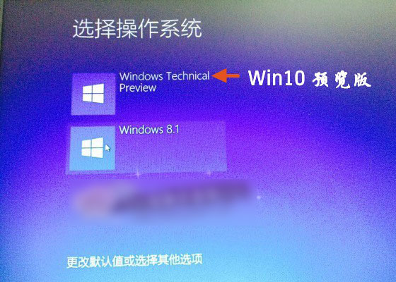 win10下安装双系统8.1安装方法(12)
